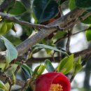 구암동112 이미지