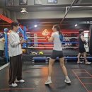 스타복싱 체육관 이미지