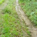 명지신도시 셀프세차장 이미지