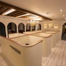 닥터게이트 이미지