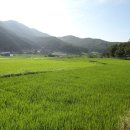 용문산공인중개사사무소 이미지