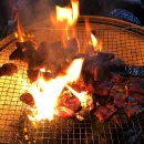 샌드시아 이미지