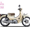 2019-주110 이미지