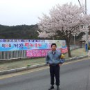 제16회 기장멸치축제 이미지