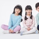 메타토브 이미지