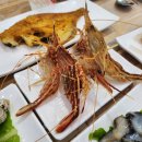 독도활어회센타 이미지