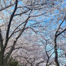 유정모텔 이미지