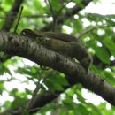 산곡천변 이미지