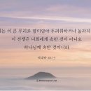 작전유도 Daum카페