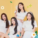 브레이브 걸스 카카오 검색결과