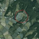 상주탑공인중개사사무소 이미지