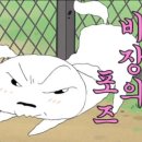 샌드스테이 이미지