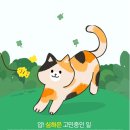 마운씨