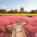 청운농촌체험마을 이미지