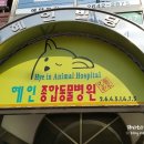 혜인동물병원 이미지
