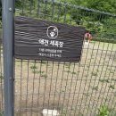 가평휴게소 춘천방향 <b>펫</b>파크 강아지운동장 애견운동장 나혼산 <b>비투비</b> 이창섭편 강원도 바다빛무지개펜션...