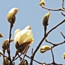 인생살이 네 가지 소중한 지혜 이미지