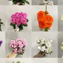 영남화훼농협 이미지