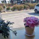 카페아이삭(cafe Isaac) 이미지