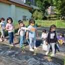 상남초등학교 이미지