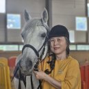 거창 오로라 승마장 이미지