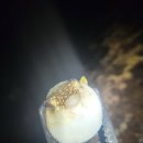 새파랑길 펜션 이미지