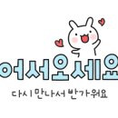 트레이더스홀세일클럽인천송림점 이미지