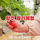 하나농원