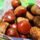 정안영농조합법인 이미지