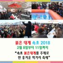 속초 붉은대게 축제 이미지