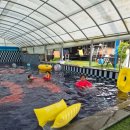 오쿨리펜션 이미지