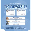 가히애견 이미지