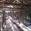 일성목장 | 러시아에서 직수입하여 믿고 구매할 수 있는 일성약초!