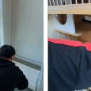 동물보육원 고양지부 이미지