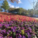 신원면-38 이미지