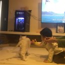 정훈넷(도그넷애견미용실) | 봉천동 고양이 미용 추천 도그 넷 애견미용실