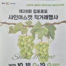 안양축산농협직거래장터 | 샤인머스캣 처돌이의 제28회 김포 샤인머스캣 직거래행사 후기