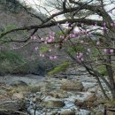 지리산해달원 이미지