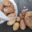 추풍령옛고개 이미지