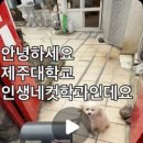 빈티지제주 네이버블로그