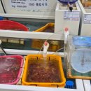 울릉푸른나무