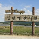 신*성 이미지