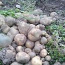 월림농장 이미지