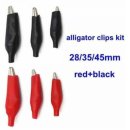 비엘스키 이미지