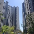 남천초등 | 남천 자이 임장기