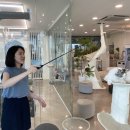 701아를고양이카페(cat in the art) 이미지