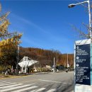 당저옆들 | 용인가볼만한곳 2025가을 명소 한국외국어대학교 글로벌캠퍼스 명수당 후기