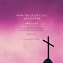네아