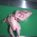 씀 Daum카페