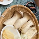 춘천 유유자적 이미지